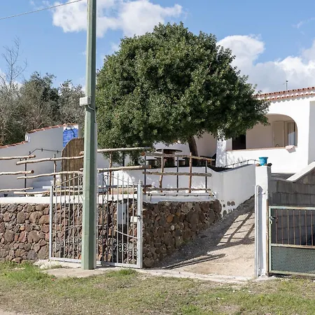 Maria אורוסיי