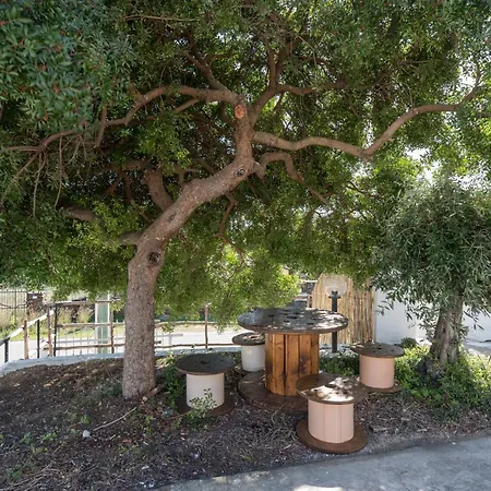 Maria Tatil Evi *